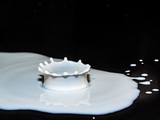 Drops-of-milk-2062100_news_index